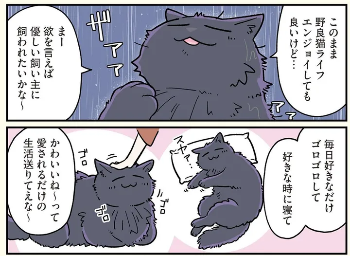 blackkigyouneko10_0