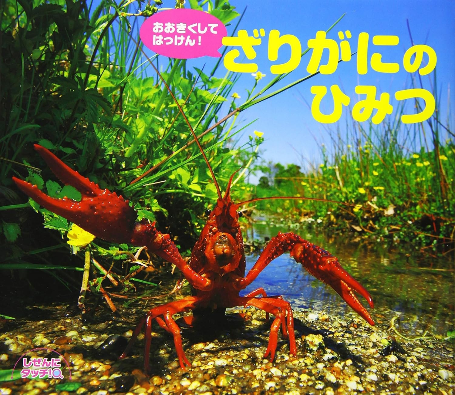 しぜんにタッチ!おおきくして はっけん! ざりがにのひみつ