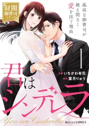 君はシンデレラ