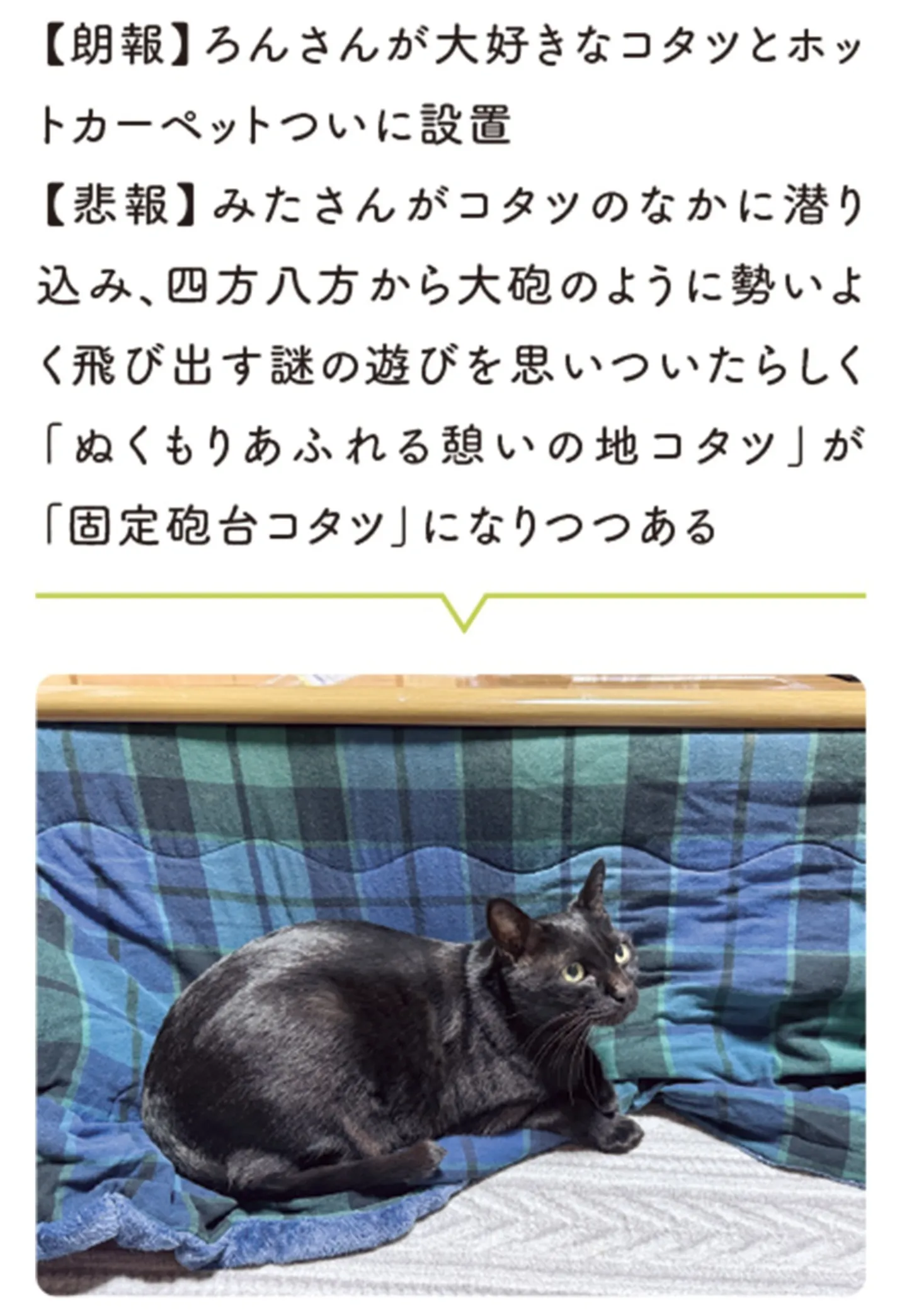 kuronekoron7-11_2