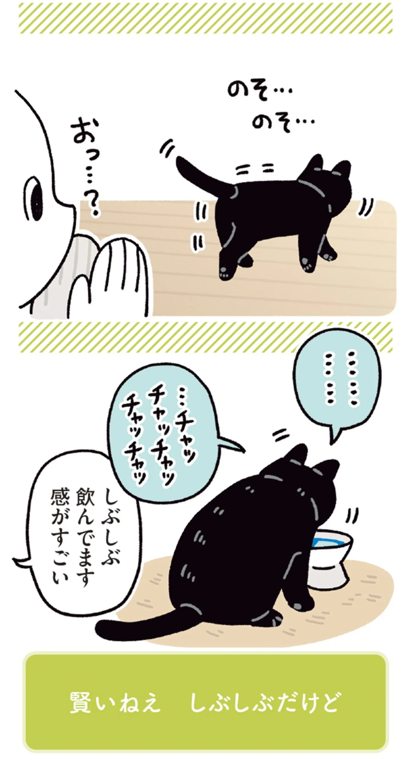 kuronekoron7-0502