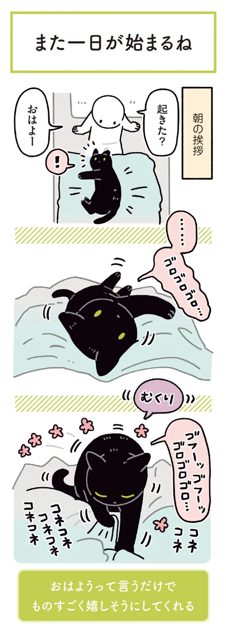 kuronekoron7-0704