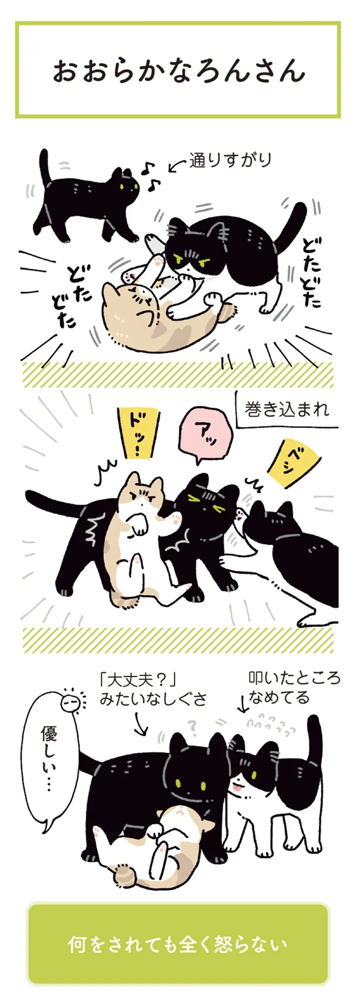 kuronekoron7-0804