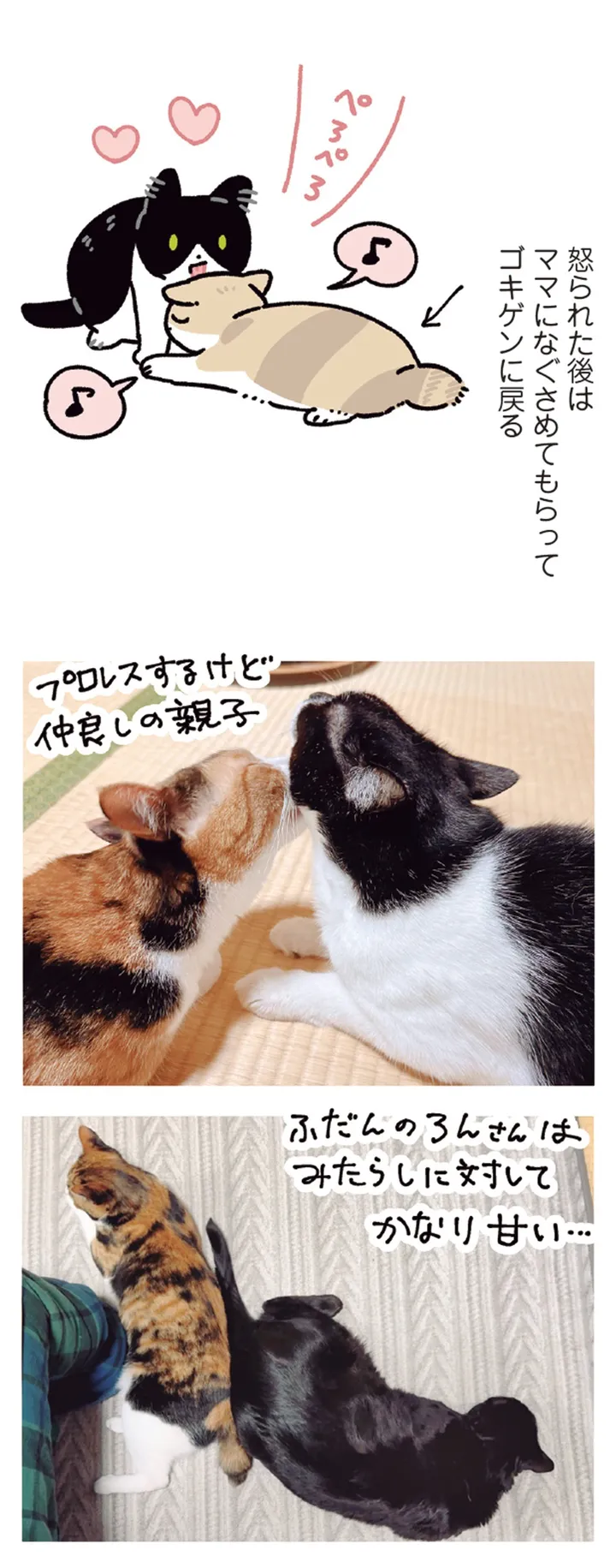 kuronekoron7-0903