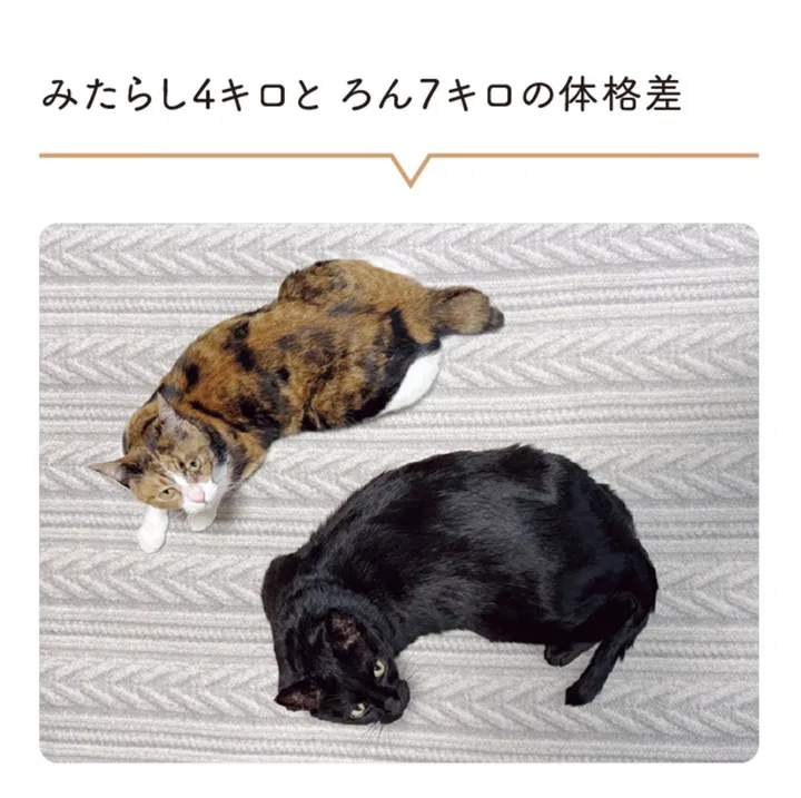 kuronekoron7-0905