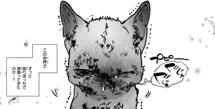 slowstep_sakutarou_0