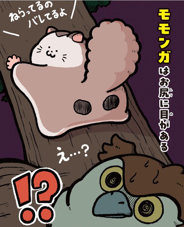 モモンガとムササビの違いは？ 飛んでいる姿で見分けられる！／『いつ