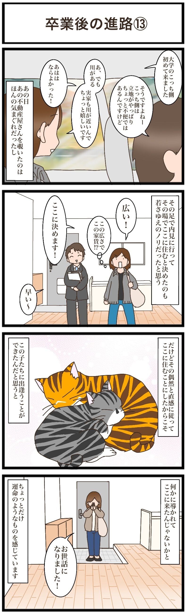 4匹仔猫を保護した大学時代。その功績で、ねこねこネットワーク