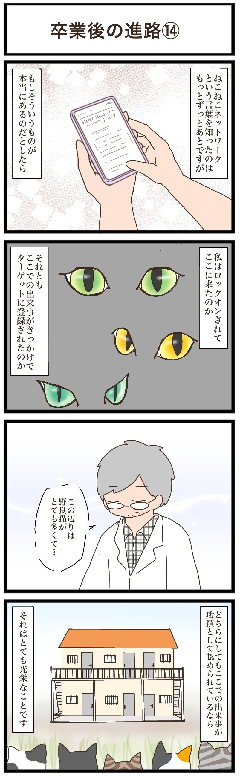 4匹仔猫を保護した大学時代。その功績で、ねこねこネットワーク