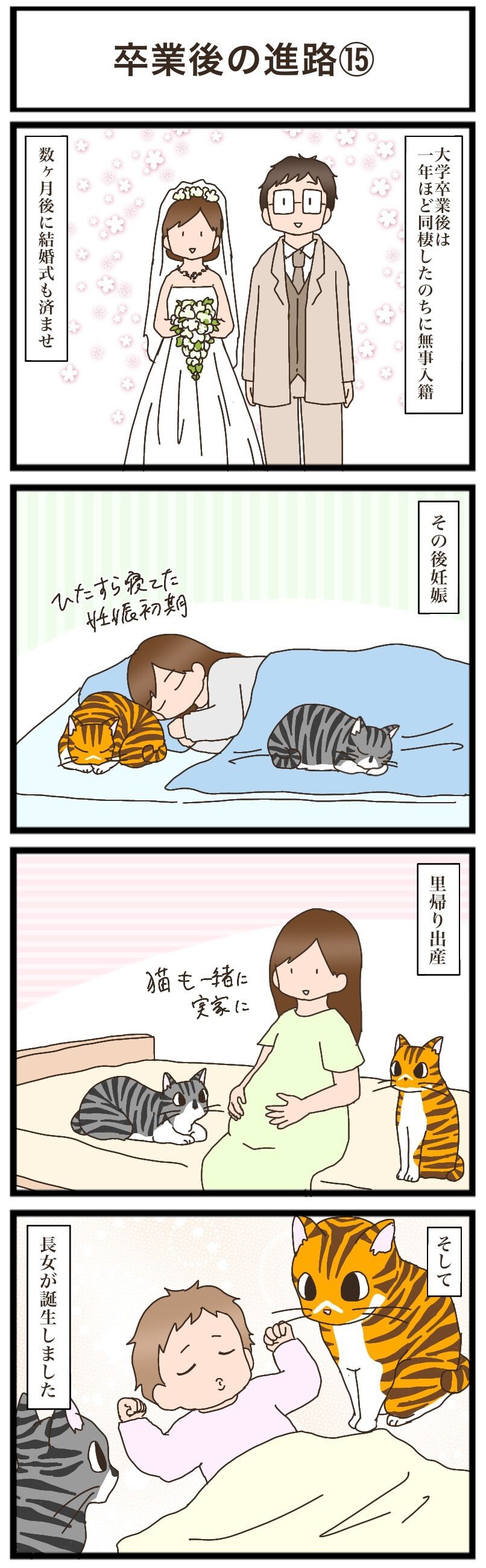※ねこねこネットワークページです。25日まで※ Amazon.co.jp: NNNからの使者 あなたの猫はどこから? (ハルキ