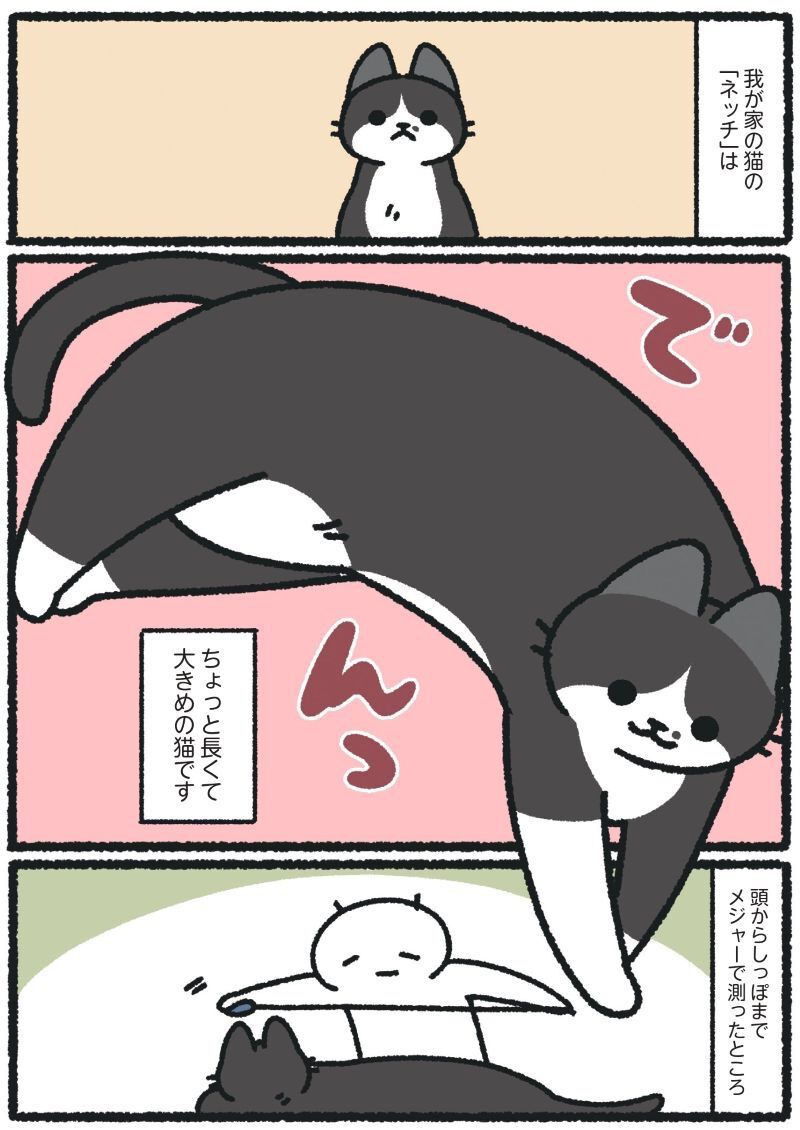 猫たらしページ カード検索 ｜ Z/X - Zillions of enemy X - ゼクス公式サイト