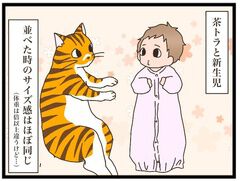 ねこねこネットワーク！ ねこねこネットワーク（NNN）にロックオンされています。 | 連載