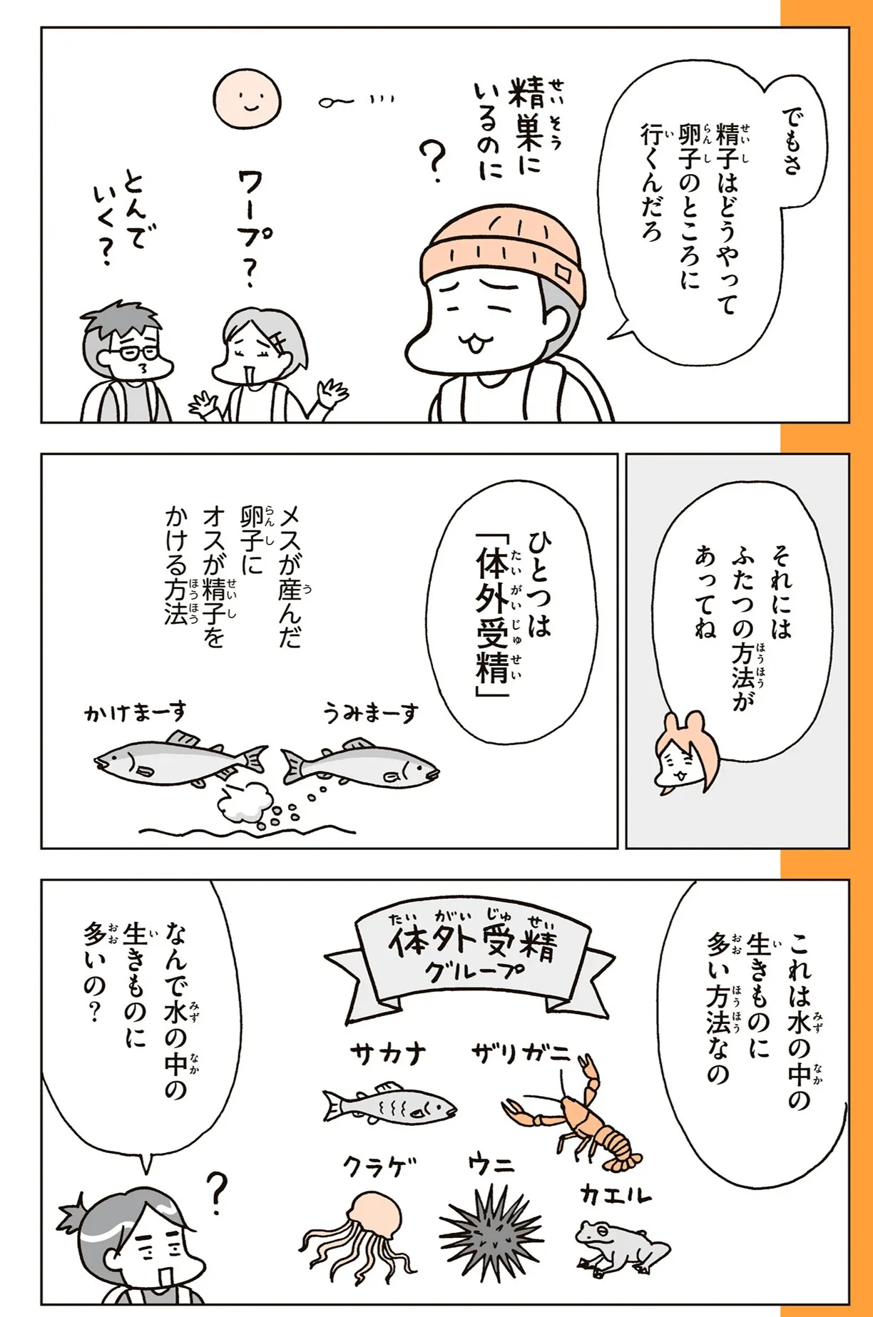『こどもせいきょういくはじめます』本文より