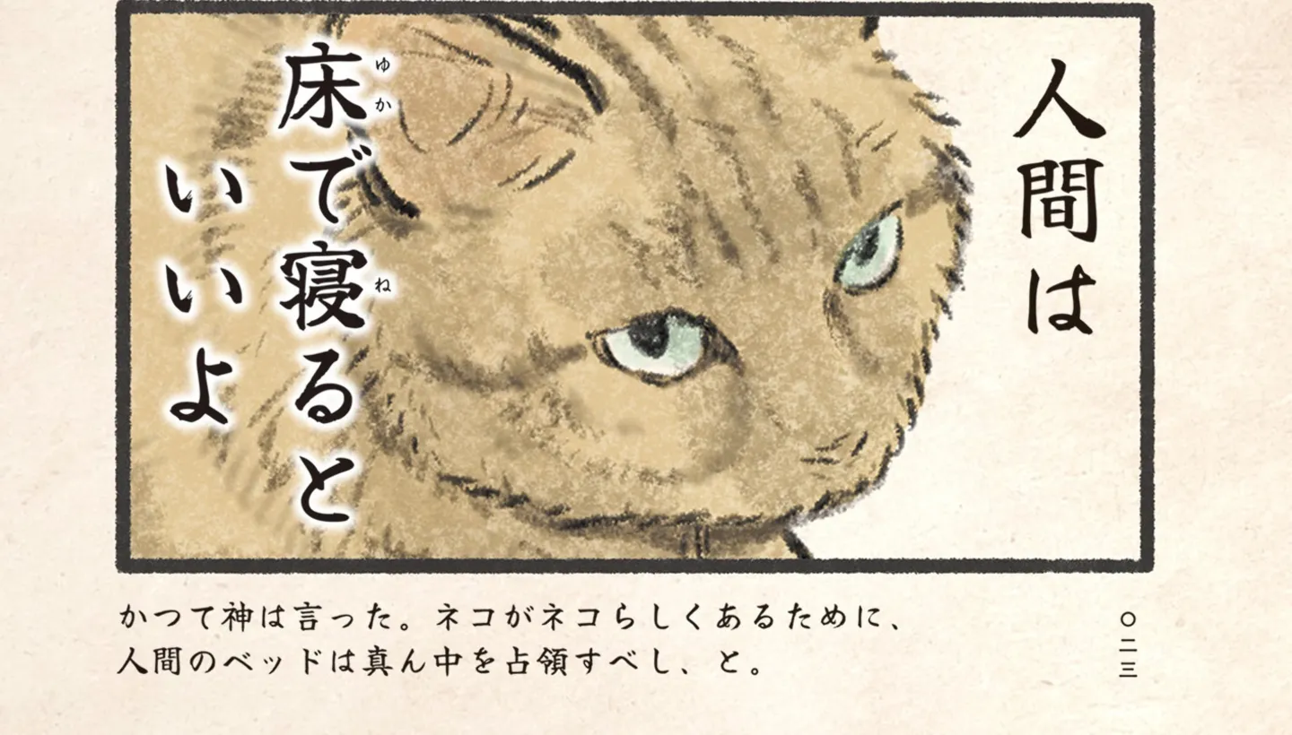 今日もネコ様の圧が強い