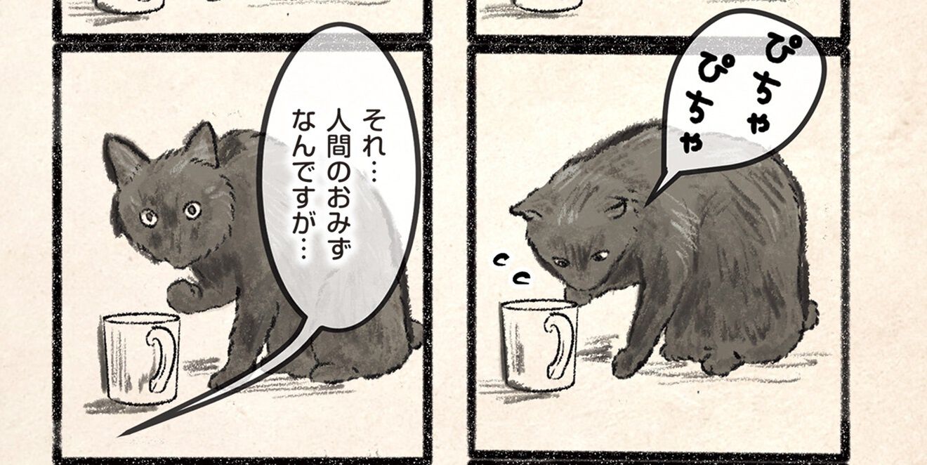 15419376.jpg?opt=webp