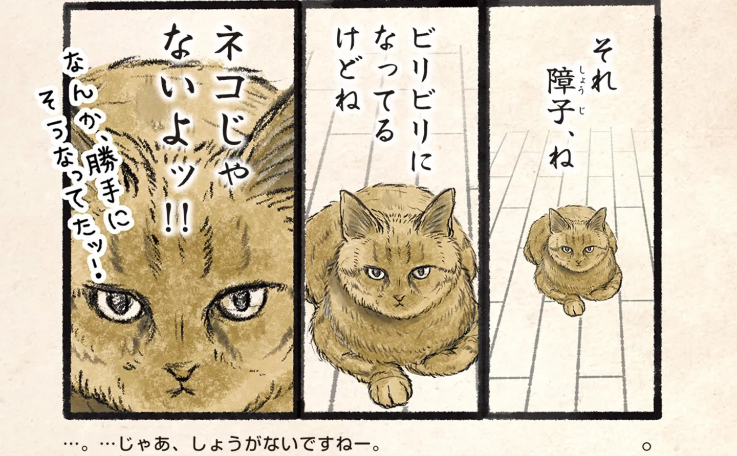 今日もネコ様の圧が強い