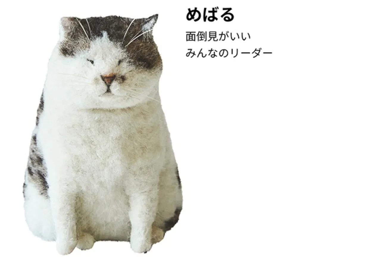 めばる