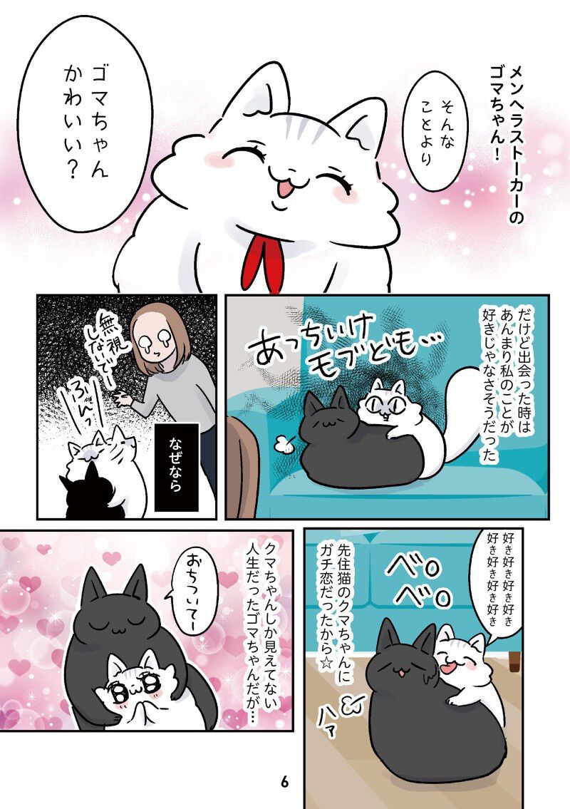 口が達者すぎる娘×過保護すぎる猫×メンヘラすぎる猫。主張強めな家族と
