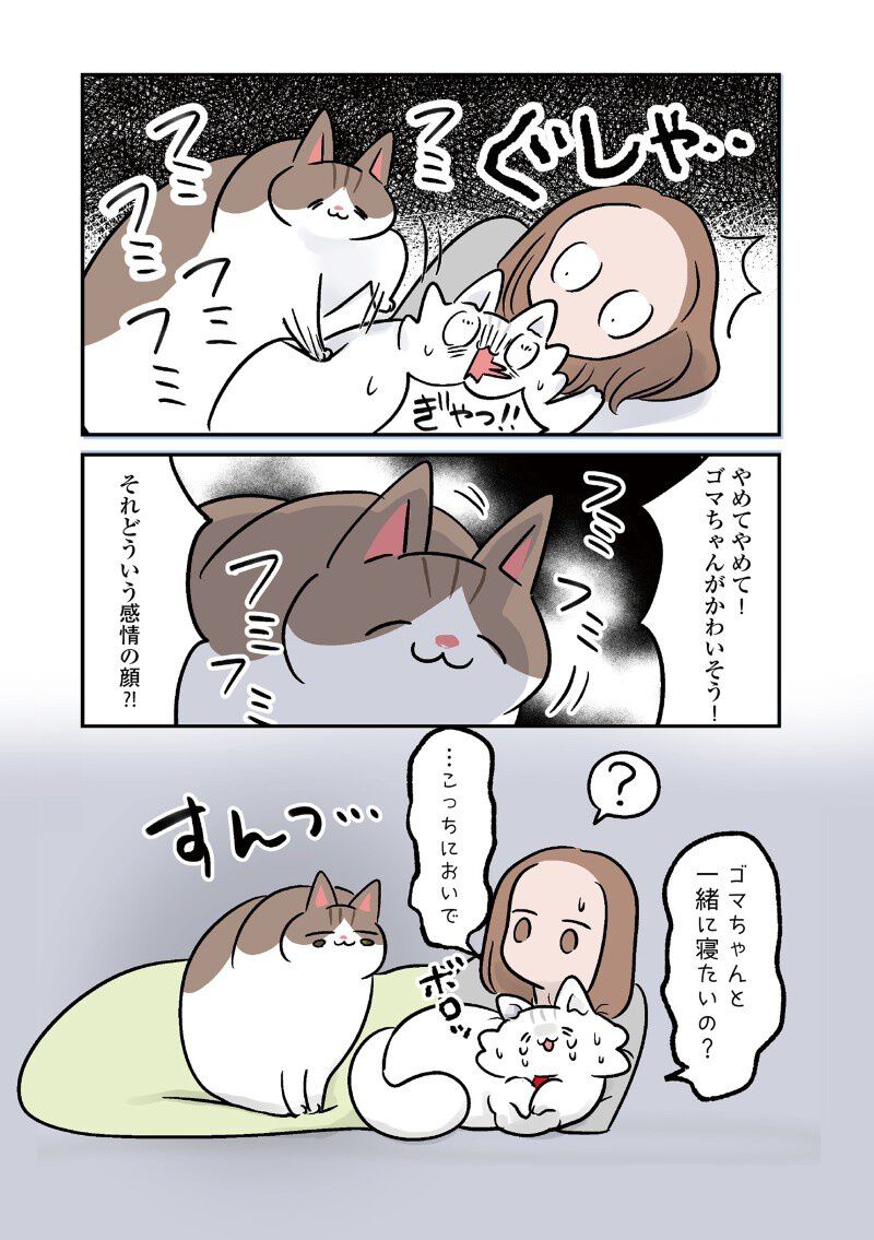 口が達者すぎる娘×過保護すぎる猫×メンヘラすぎる猫。主張強めな家族と