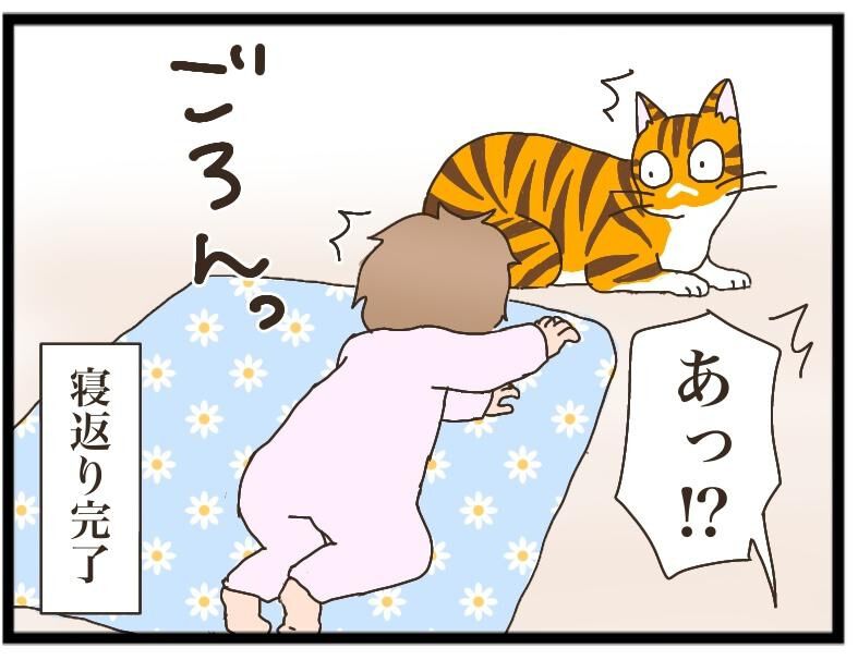 ねこねこネットワーク！ ねこねこネットワーク（NNN）にロックオンされています。 | 連載