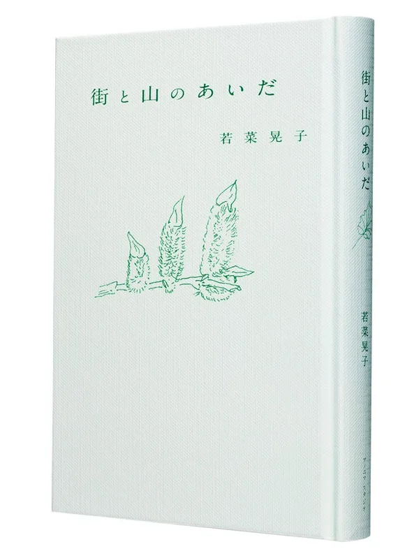 『街と山のあいだ』