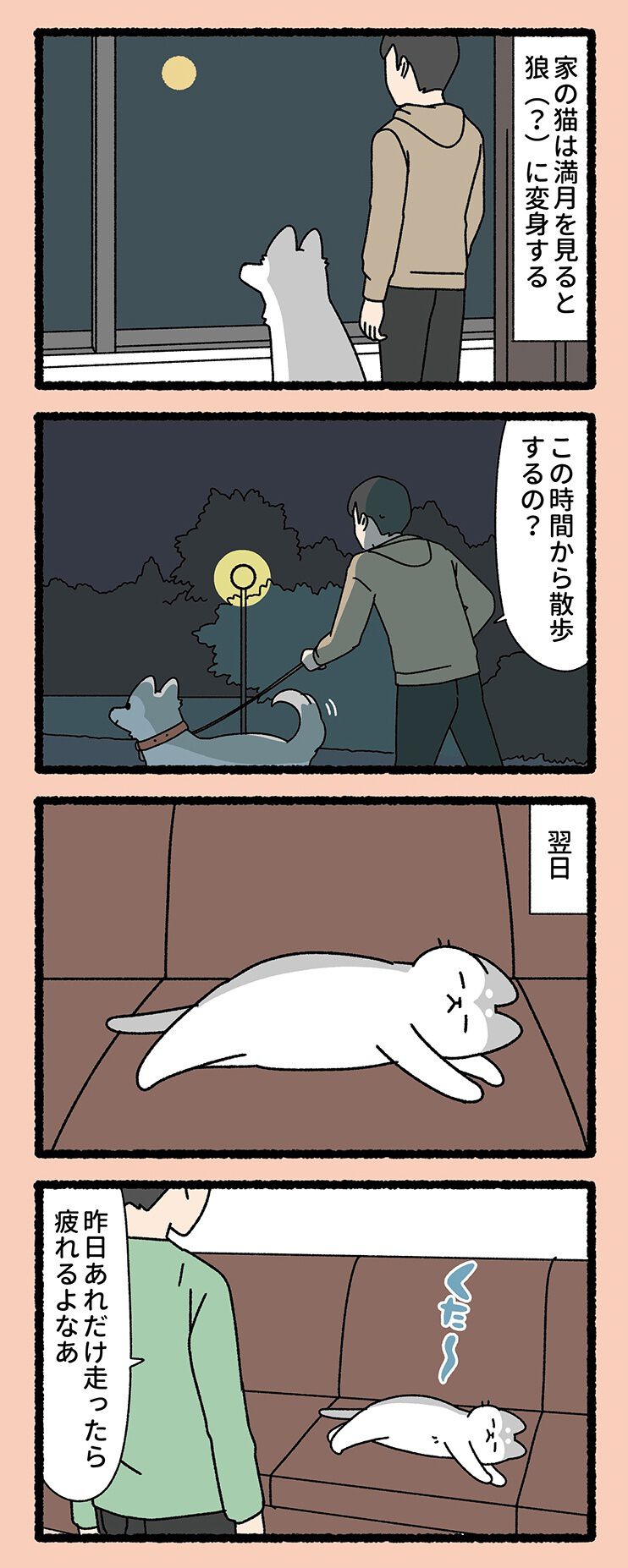 変身中の記憶はないの？ 狼の姿でおもちゃを壊した後、猫に戻ったら