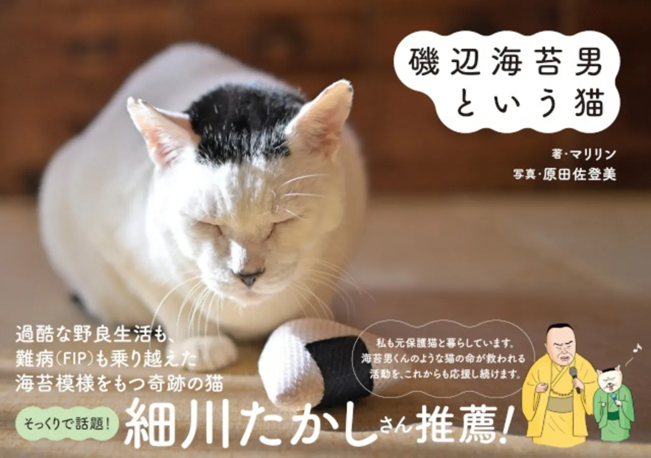 奇跡の海苔模様猫の壮絶な半生を記したフォトブック『磯辺海苔男という猫』