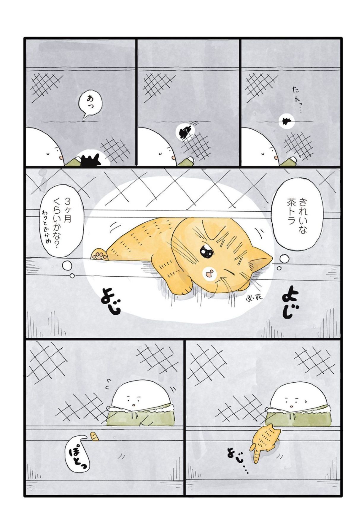 自宅の近くで猫の鳴き声が！ 道路のそばにいるのが心配で、とっさに声