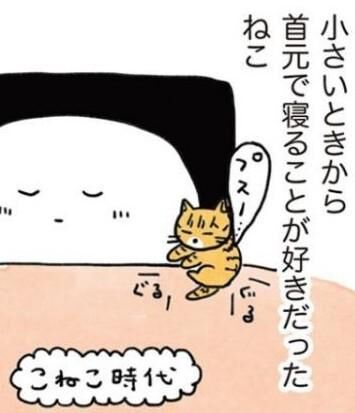 にんげん1人とねこ1匹 | 連載 | ダ・ヴィンチWeb