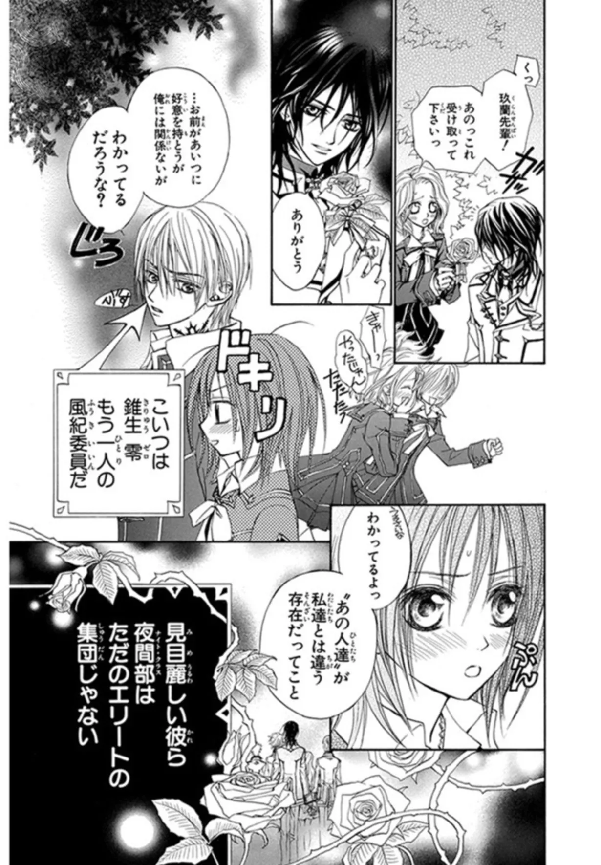 ヴァンパイア騎士