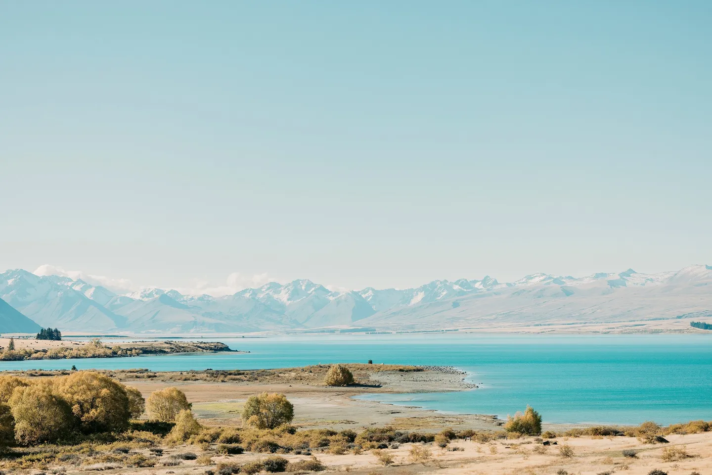 映画『楓』のロケ地であるニュージーランド・テカポ湖