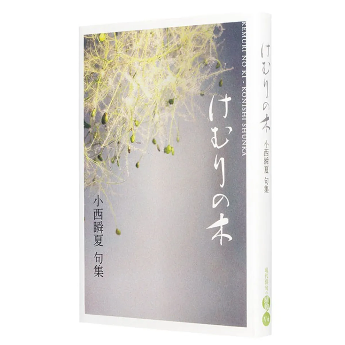 『句集 けむりの木』