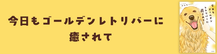 今日もゴールデンレトリバーに癒されて