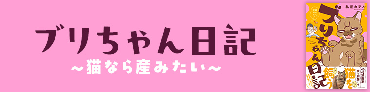 ブリちゃん日記 猫なら産みたい