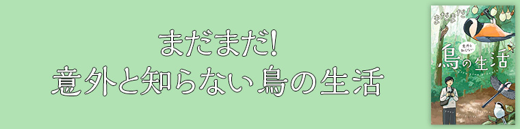 まだまだ!意外と知らない鳥の生活