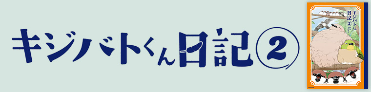 キジバトくん日記（2）