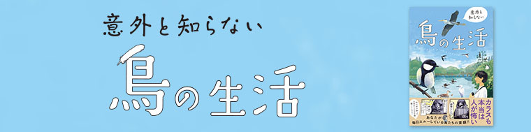 意外と知らない鳥の生活