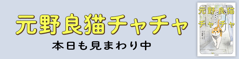 元野良猫チャチャ 本日も見まわり中