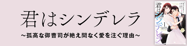 君はシンデレラ～孤高な御曹司が絶え間なく愛を注ぐ理由～