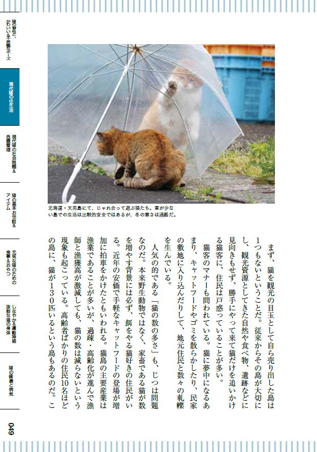 現代にゃん語の基礎知識2018 にゃんとも楽しい猫の辞典、「現代“にゃん語”の基礎知識」 記念