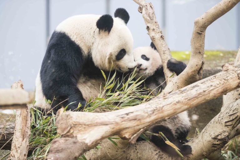 84ce9645baef626606dd5f2a656ba4