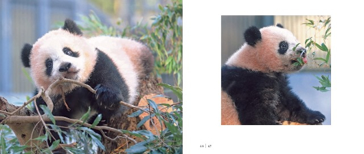 img07