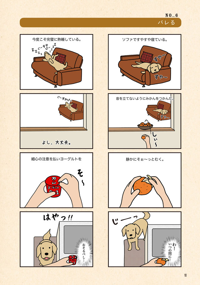 エフ漫画 ゴールデンレトリバーのエフとコメとの楽しい暮らし