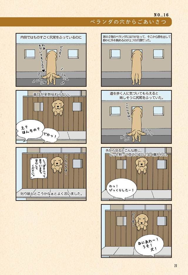 エフ漫画 ゴールデンレトリバーのエフとコメとの楽しい暮らし