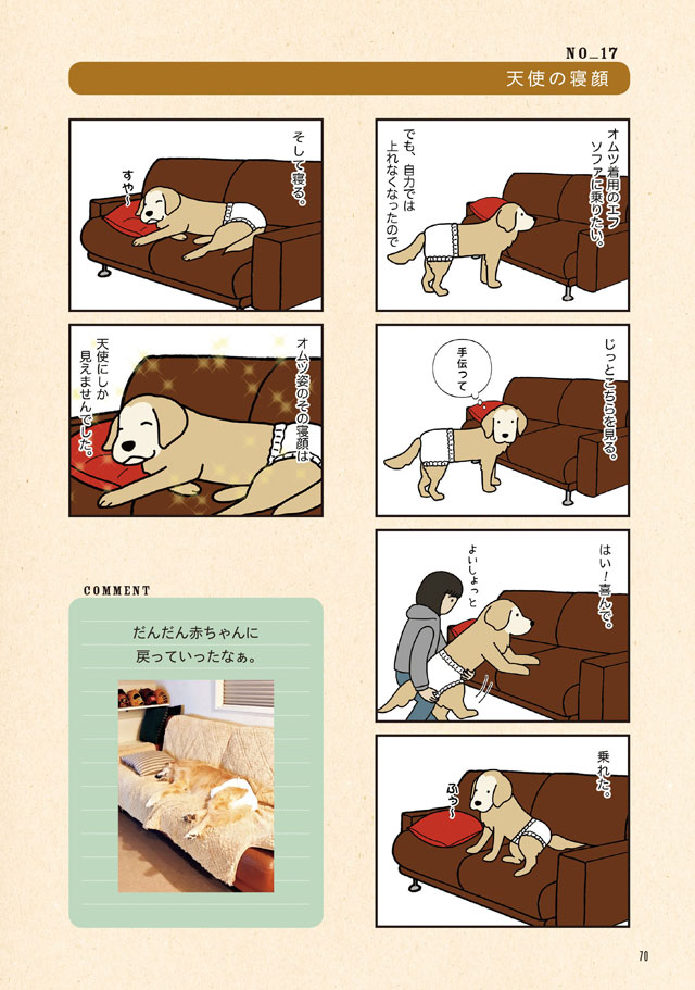 エフ漫画 ゴールデンレトリバーのエフとコメとの楽しい暮らし