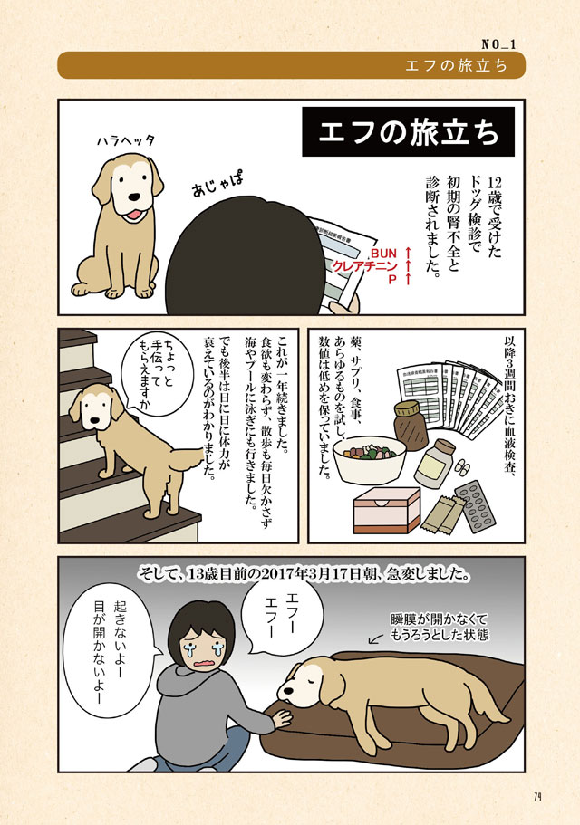 エフ漫画 ゴールデンレトリバーのエフとコメとの楽しい暮らし