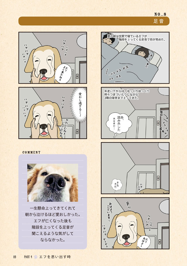 エフ漫画 ゴールデンレトリバーのエフとコメとの楽しい暮らし
