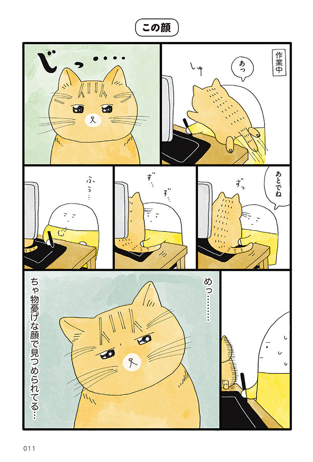 にんげん1人とねこ1匹