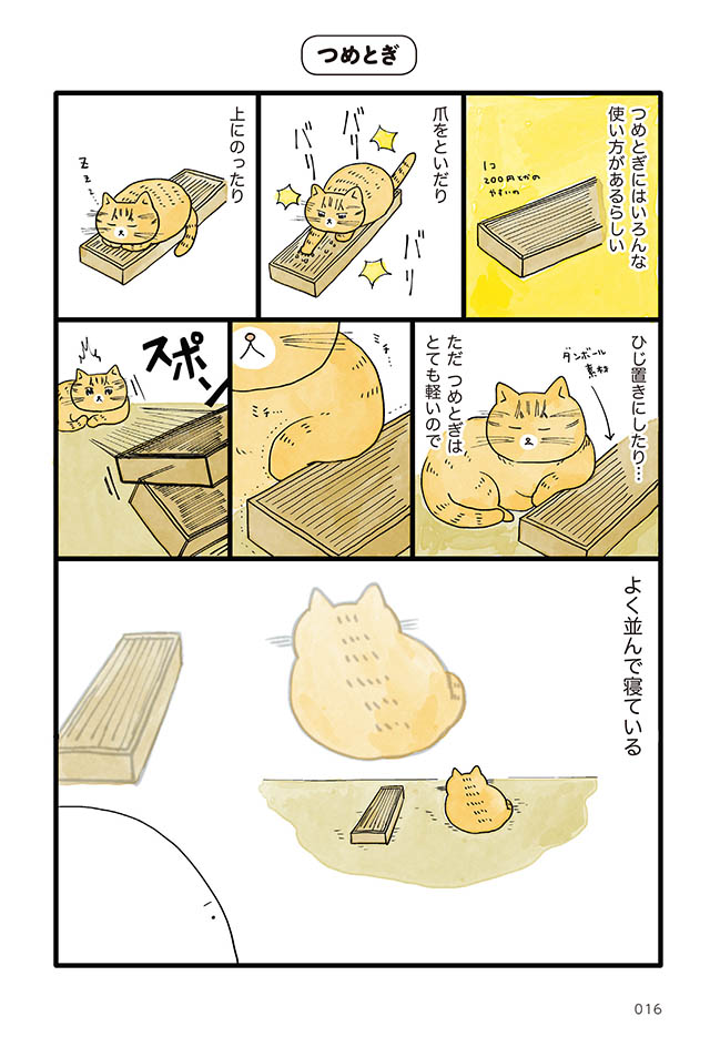 にんげん1人とねこ1匹