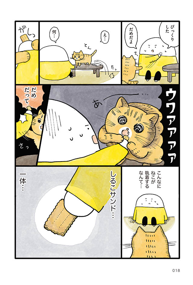 にんげん1人とねこ1匹